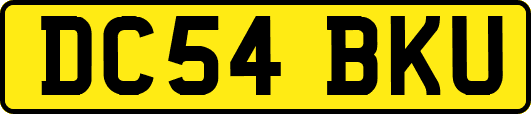 DC54BKU