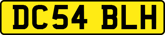 DC54BLH