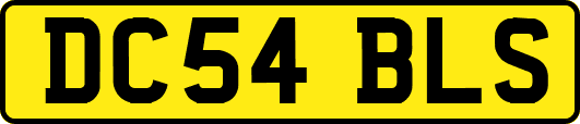 DC54BLS