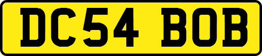 DC54BOB