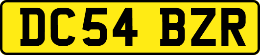 DC54BZR