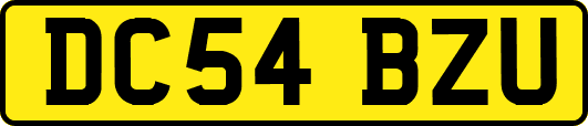 DC54BZU