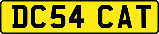 DC54CAT