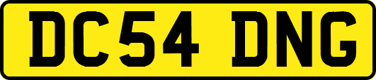 DC54DNG