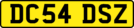 DC54DSZ
