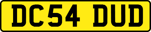 DC54DUD