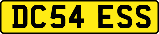 DC54ESS
