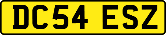 DC54ESZ