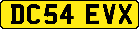 DC54EVX
