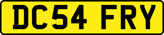 DC54FRY