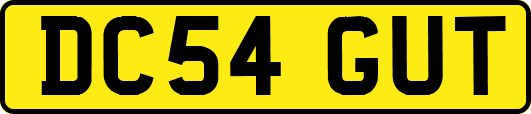 DC54GUT