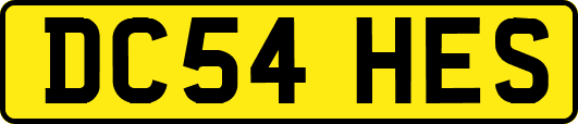 DC54HES