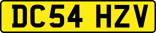 DC54HZV