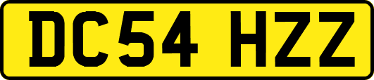 DC54HZZ