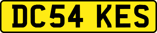DC54KES
