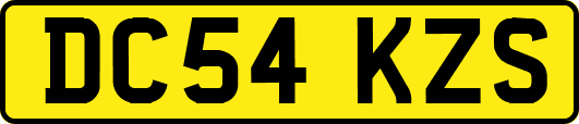 DC54KZS