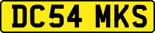 DC54MKS