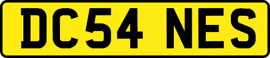 DC54NES