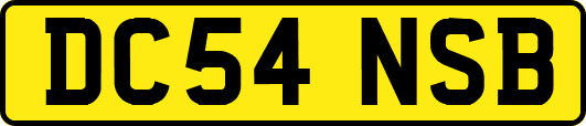 DC54NSB