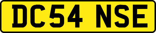 DC54NSE