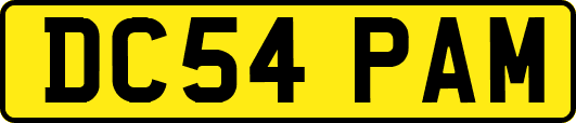 DC54PAM
