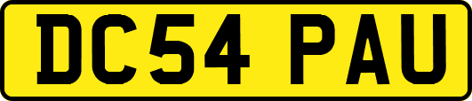 DC54PAU
