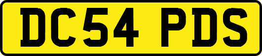 DC54PDS