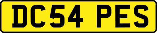 DC54PES