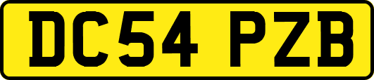 DC54PZB