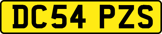 DC54PZS