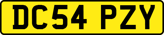 DC54PZY