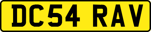 DC54RAV