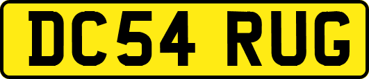 DC54RUG