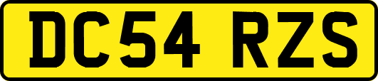 DC54RZS