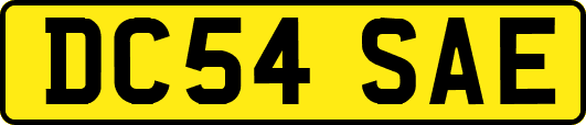 DC54SAE