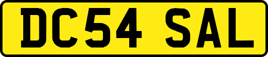DC54SAL
