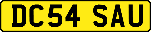 DC54SAU