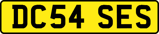 DC54SES