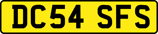 DC54SFS