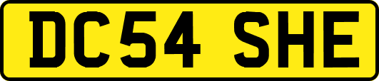 DC54SHE