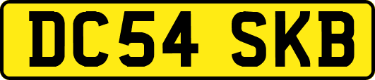 DC54SKB