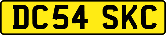 DC54SKC