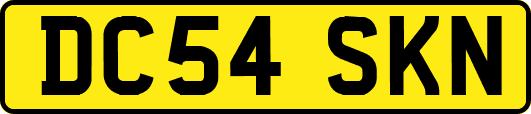 DC54SKN
