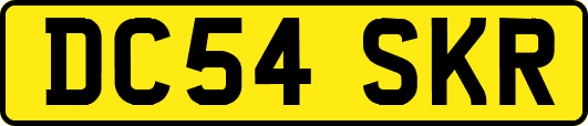 DC54SKR