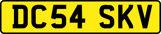 DC54SKV