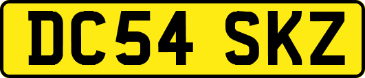 DC54SKZ