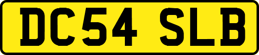 DC54SLB