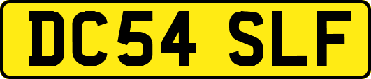 DC54SLF