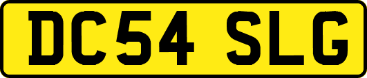 DC54SLG