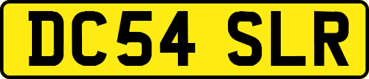 DC54SLR